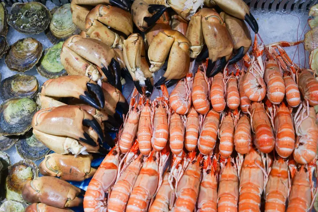 Bergen In A Nutshell: 20 Unmissable Things To Do In Bergen Norway! 40 Bergen Fish Market | best things to do in bergen