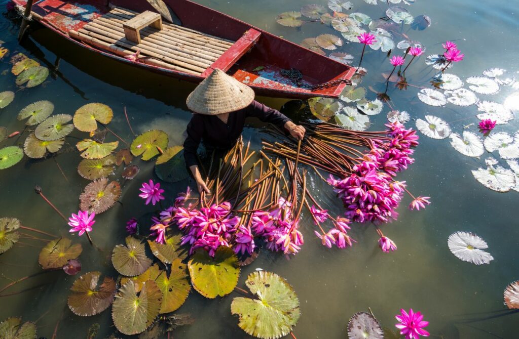 vietnam honeymoon